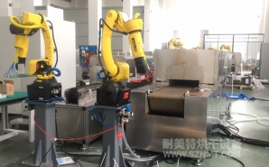 NMT-ZP-108 疫苗玻璃瓶小型預(yù)熱加固化自動(dòng)裝配線(蘇州?？松?